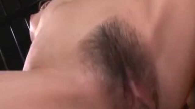 Noble China and China's toy insertion dirt