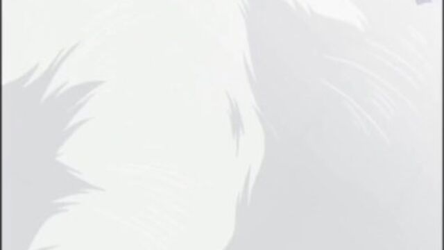 La emocional ninfa en contenido de novia