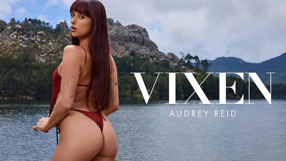 Dicke Titten Pornofilm mit gewandter Audrey Reid von Vixen