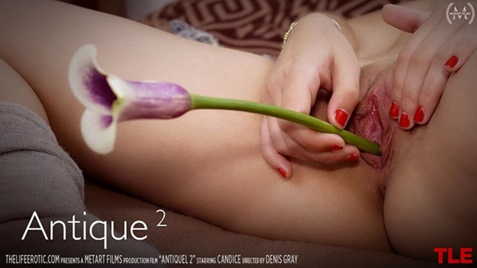 Donna amorevole in xxx bionda di TLE