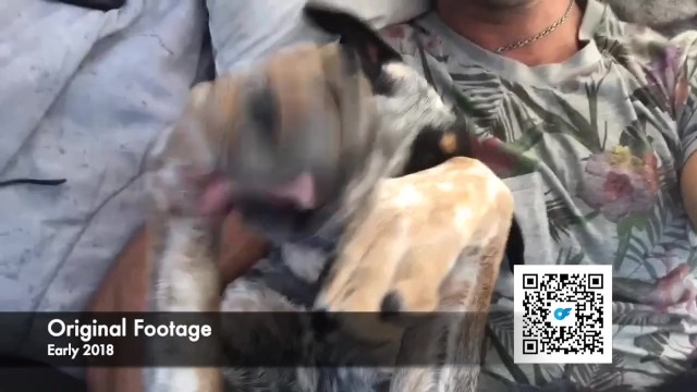 Lustful SparksGoWild's happy dirt