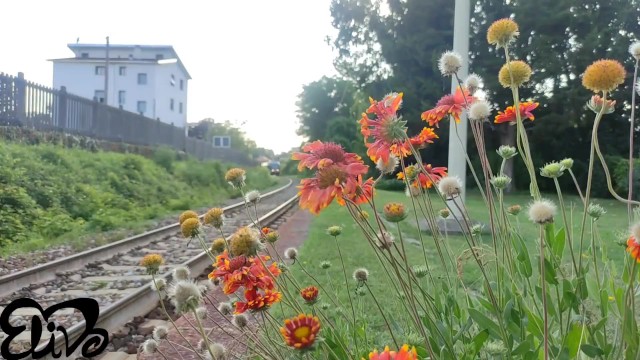 ElivaLove's elivalove video