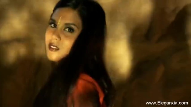 Provocando ação da periquita