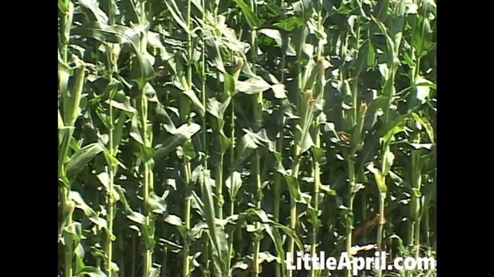 Little April - porno de masturbación femenina