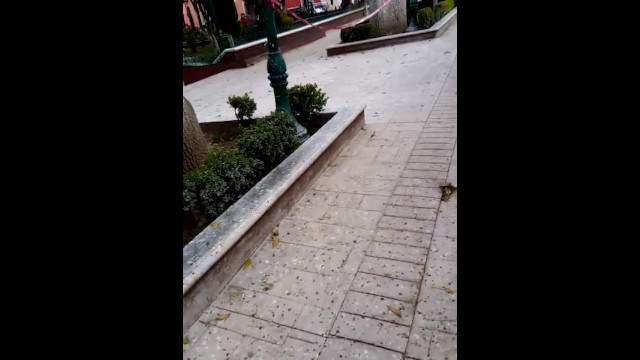 Flattering Tania's real public sex xxx