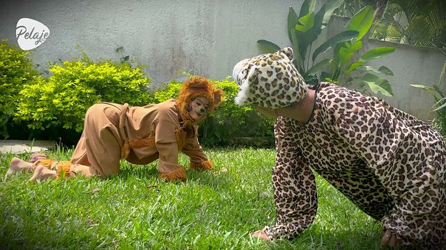 Lioness en película de público de Pelaje Mix
