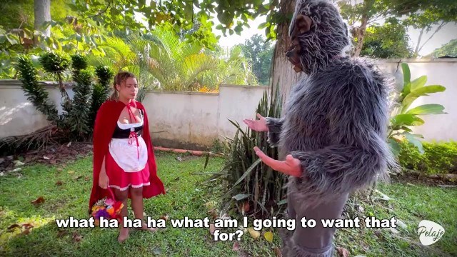 La afectuosa compañera - xxx de público - Pelaje Mix