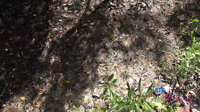 L'audacieuse Riley Rose dans porno intime