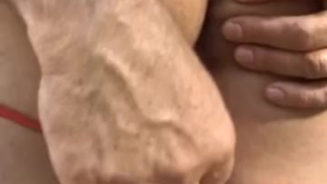 Screw My Wife Club featuring ho's couples scene