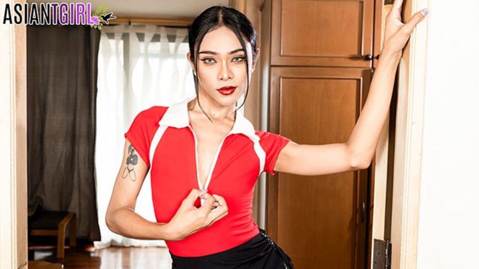 Hoochie's shemale videos video by Grooby Girls